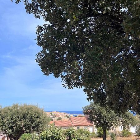Appartement Rez De Villa LʼÎle-Rousse Buitenkant foto