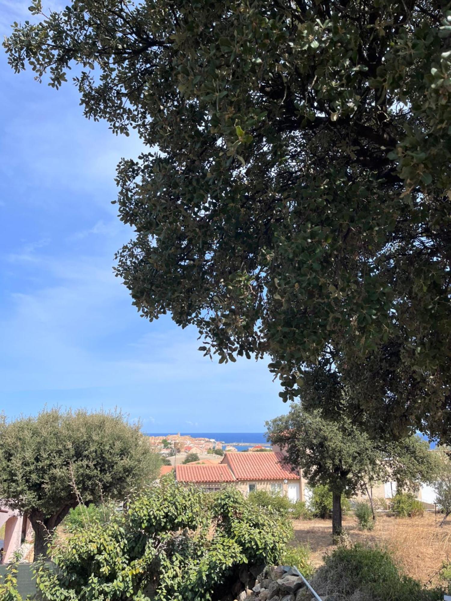 Appartement Rez De Villa LʼÎle-Rousse Buitenkant foto